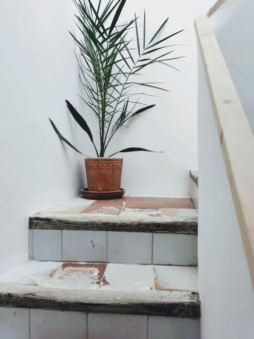 7P Centrico Piso Con Encanto Valencia Eksteriør bilde